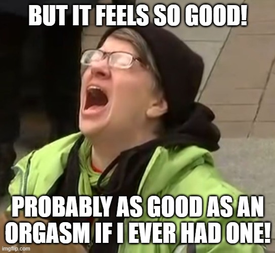 snowflake | BUT IT FEELS SO GOOD! PROBABLY AS GOOD AS AN ORGASM IF I EVER HAD ONE! | image tagged in snowflake | made w/ Imgflip meme maker