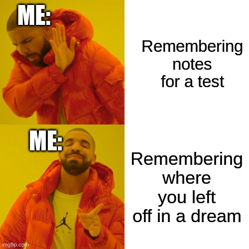 T-T | ME:; Remembering notes for a test; ME:; Remembering where you left off in a dream | image tagged in memes,drake hotline bling,dream | made w/ Imgflip meme maker