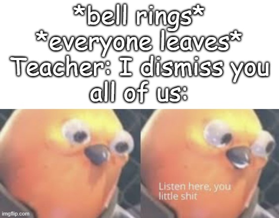 He can't come back to his hood after this | *bell rings*
*everyone leaves*
Teacher: I dismiss you
all of us: | image tagged in listen here you little shit bird | made w/ Imgflip meme maker
