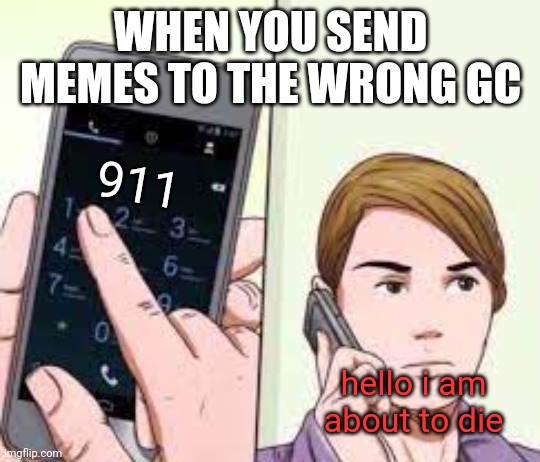 Wikihow Phone Call | WHEN YOU SEND MEMES TO THE WRONG GC; 911; hello i am about to die | image tagged in wikihow phone call | made w/ Imgflip meme maker