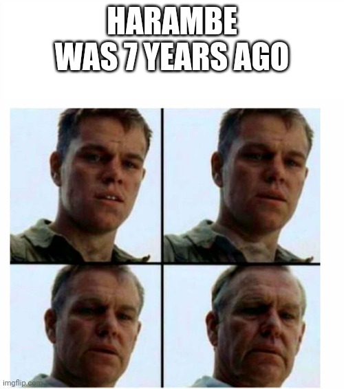 Matt Damon gets older | HARAMBE WAS 7 YEARS AGO | image tagged in matt damon gets older | made w/ Imgflip meme maker
