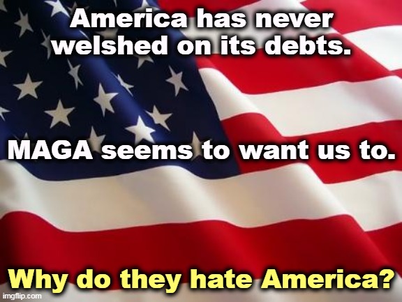 MAGA hates America(ns). | America has never welshed on its debts. MAGA seems to want us to. Why do they hate America? | image tagged in american flag,national debt,maga,hate,america,americans | made w/ Imgflip meme maker