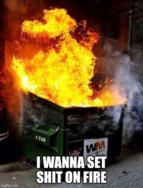 Dumpster Fire | I WANNA SET SHIT ON FIRE | image tagged in dumpster fire | made w/ Imgflip meme maker