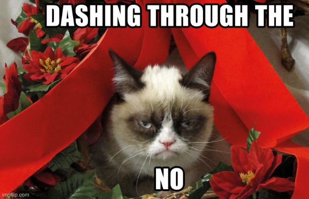 NOPE. | image tagged in grumpy cat | made w/ Imgflip meme maker