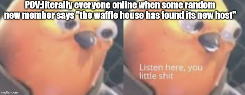 Listen here you little shit bird | POV:literally everyone online when some random new member says "the waffle house has found its new host" | image tagged in listen here you little shit bird | made w/ Imgflip meme maker
