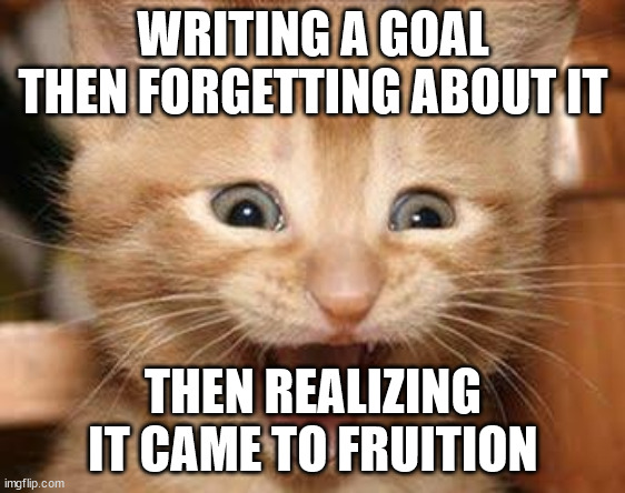 Excited Cat | WRITING A GOAL THEN FORGETTING ABOUT IT; THEN REALIZING IT CAME TO FRUITION | image tagged in memes,excited cat,goals,manifestation,journaling | made w/ Imgflip meme maker