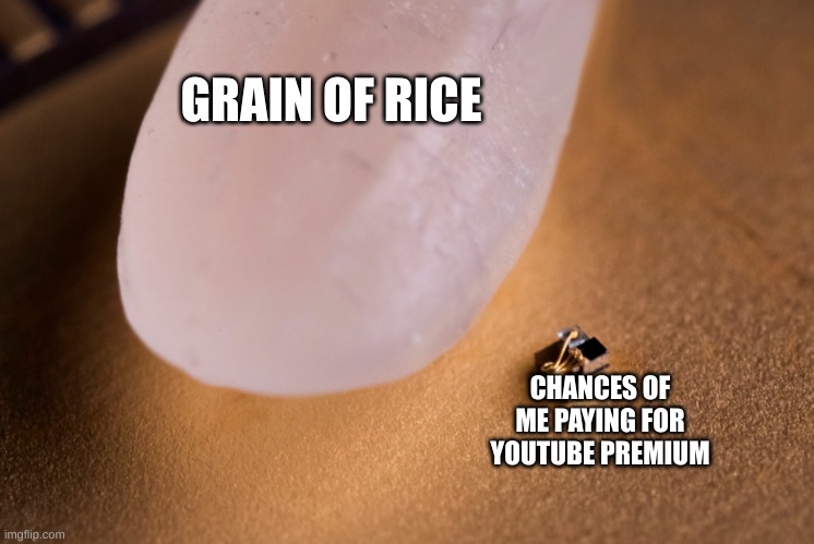 Stop asking already | GRAIN OF RICE; CHANCES OF ME PAYING FOR YOUTUBE PREMIUM | image tagged in grain of rice | made w/ Imgflip meme maker