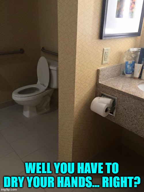 As long as there's toilet paper in the bathroom... everything's ok? | WELL YOU HAVE TO DRY YOUR HANDS... RIGHT? | image tagged in you had one job | made w/ Imgflip meme maker