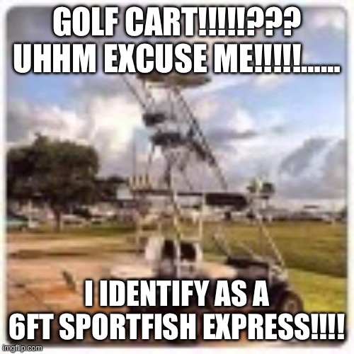 Golf cart identity | GOLF CART!!!!!??? UHHM EXCUSE ME!!!!!……; I IDENTIFY AS A 6FT SPORTFISH EXPRESS!!!! | image tagged in funny memes | made w/ Imgflip meme maker
