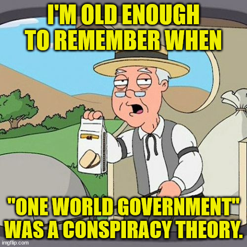 Another conspiracy theory that is true... | I'M OLD ENOUGH TO REMEMBER WHEN; "ONE WORLD GOVERNMENT" WAS A CONSPIRACY THEORY. | image tagged in memes,pepperidge farm remembers,nwo police state | made w/ Imgflip meme maker