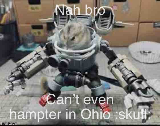 Image title | Nah bro; Can’t even hampter in Ohio :skull: | image tagged in robo hampter | made w/ Imgflip meme maker