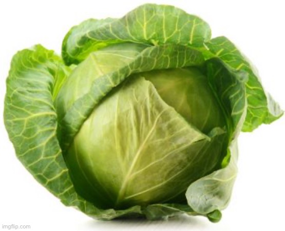 Cabbage, Opposer Of Lettuce | image tagged in cabbage | made w/ Imgflip meme maker