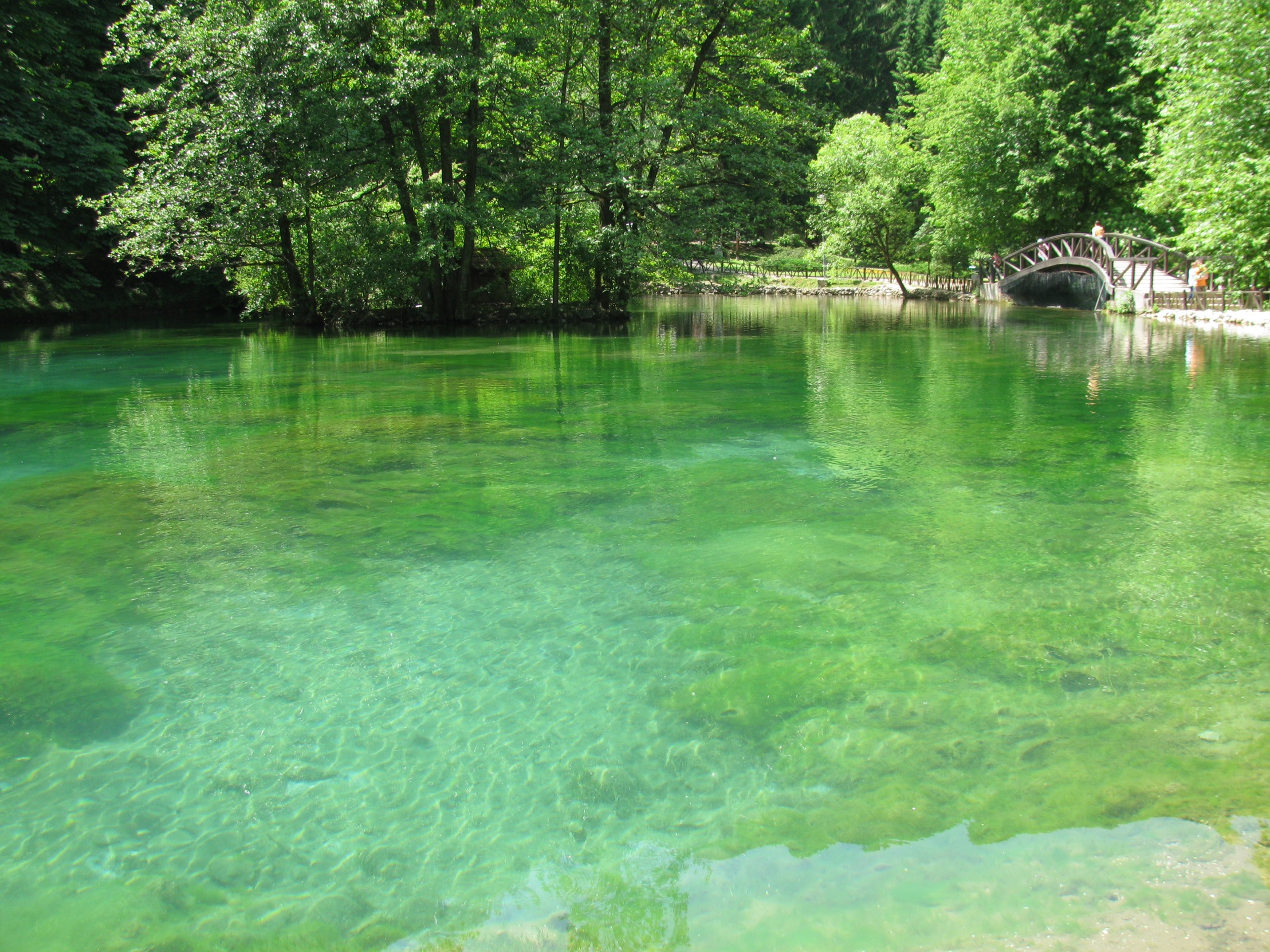 High Quality Bosna (river) Blank Meme Template