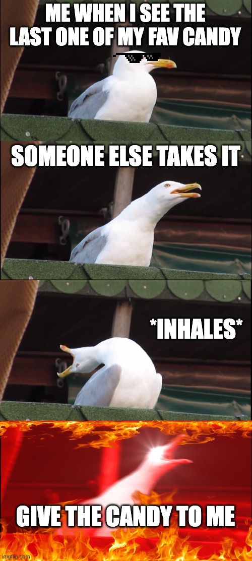 my fav candy | ME WHEN I SEE THE LAST ONE OF MY FAV CANDY; SOMEONE ELSE TAKES IT; *INHALES*; GIVE THE CANDY TO ME | image tagged in memes,inhaling seagull | made w/ Imgflip meme maker