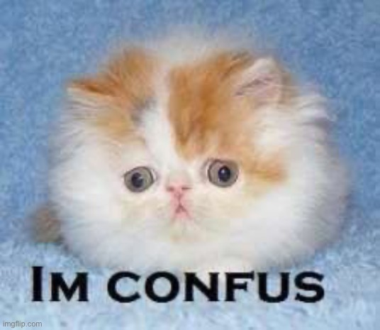 Im Confus | image tagged in im confus | made w/ Imgflip meme maker