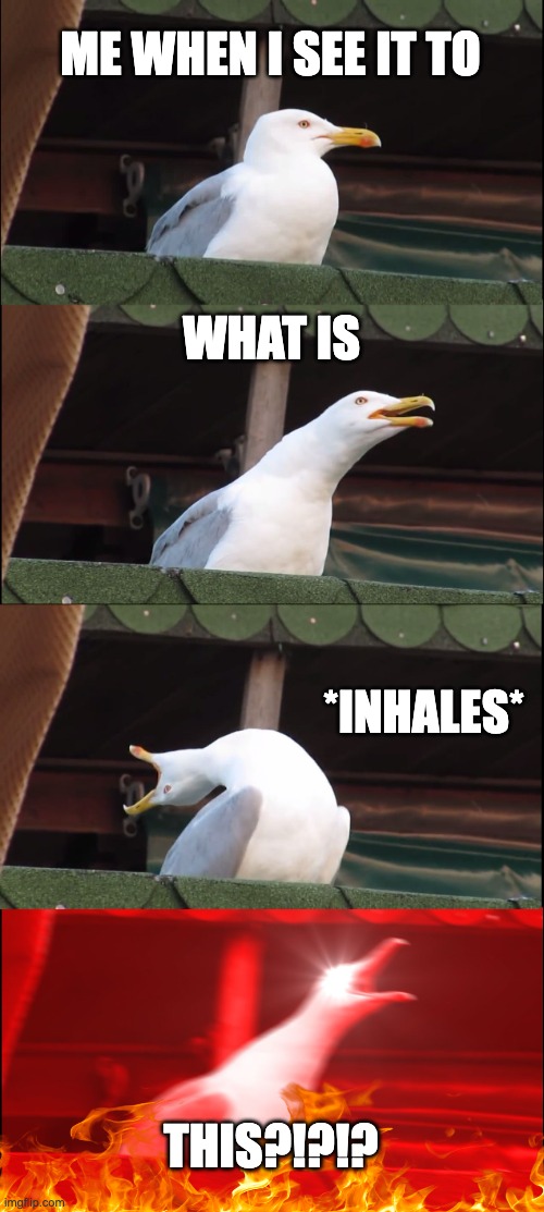 Inhaling Seagull Meme | ME WHEN I SEE IT TO WHAT IS *INHALES* THIS?!?!? | image tagged in memes,inhaling seagull | made w/ Imgflip meme maker
