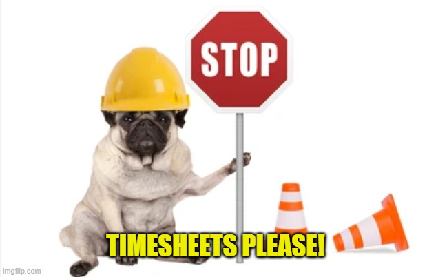 Pug Timesheet Reminder | TIMESHEETS PLEASE! | image tagged in pug timesheet reminder,timesheet reminder,timesheet meme,funny meme | made w/ Imgflip meme maker