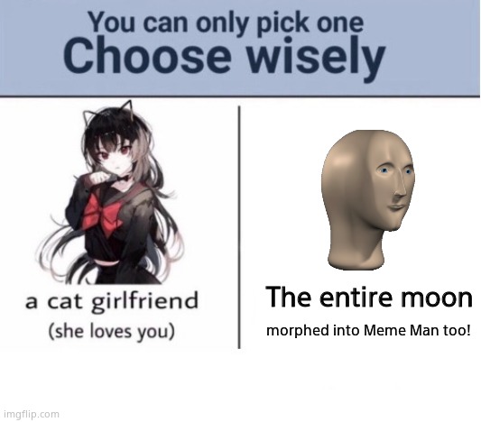 choose wisely, space lovers. |  The entire moon; morphed into Meme Man too! | image tagged in choose wisely | made w/ Imgflip meme maker