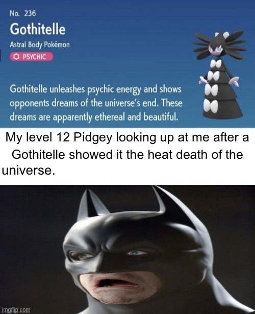 My level 12 Pidgey looking up at me after a; universe. Gothitelle showed it the heat death of the | image tagged in pokemon,gothitelle | made w/ Imgflip meme maker