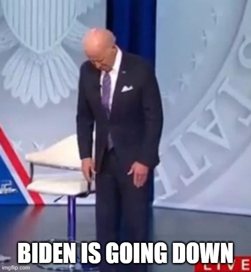 Biden WTF | BIDEN IS GOING DOWN | image tagged in biden wtf | made w/ Imgflip meme maker