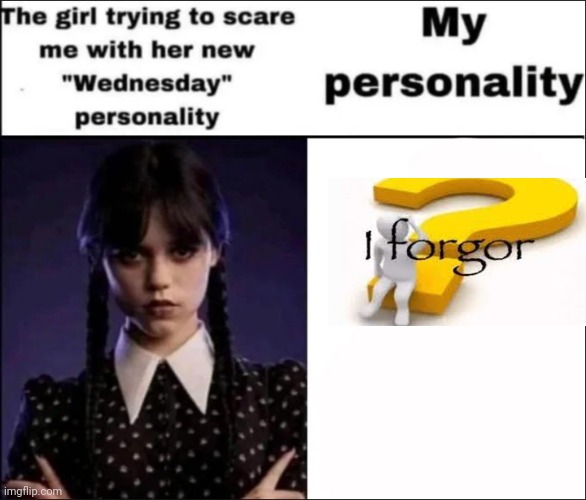 The girl trying to scare me with her new Wednesday personality | image tagged in the girl trying to scare me with her new wednesday personality | made w/ Imgflip meme maker