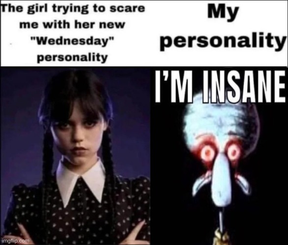 The girl trying to scare me with her new Wednesday personality | image tagged in the girl trying to scare me with her new wednesday personality | made w/ Imgflip meme maker
