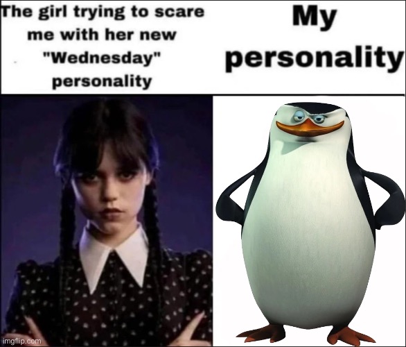 The girl trying to scare me with her new Wednesday personality | image tagged in the girl trying to scare me with her new wednesday personality | made w/ Imgflip meme maker