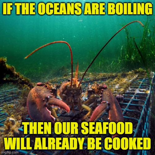 We won't need gas stoves if our seafood is already cooked, right? | IF THE OCEANS ARE BOILING; THEN OUR SEAFOOD WILL ALREADY BE COOKED | image tagged in lobster,greenies,al gore,inconvenient bs | made w/ Imgflip meme maker