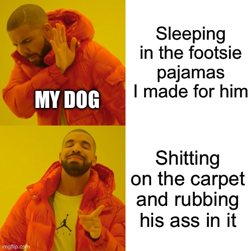 He’s my little guy though | Sleeping in the footsie pajamas I made for him; MY DOG; Shitting on the carpet and rubbing his ass in it | image tagged in memes,drake hotline bling | made w/ Imgflip meme maker