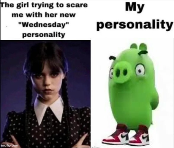 The girl trying to scare me with her new Wednesday personality | image tagged in the girl trying to scare me with her new wednesday personality | made w/ Imgflip meme maker