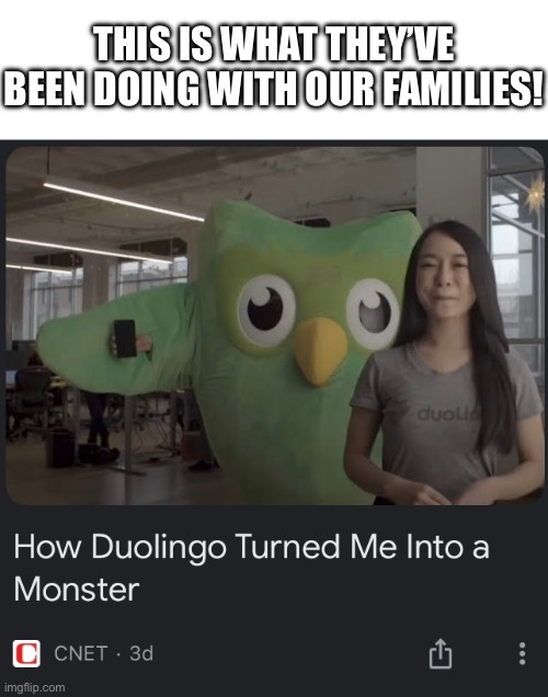 THIS IS WHAT THEY’VE BEEN DOING WITH OUR FAMILIES! | image tagged in duolingo | made w/ Imgflip meme maker