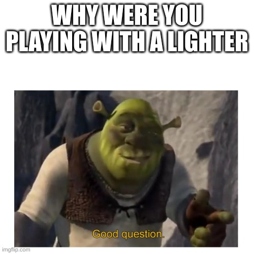 Good Question Shrek | WHY WERE YOU PLAYING WITH A LIGHTER | image tagged in good question shrek | made w/ Imgflip meme maker