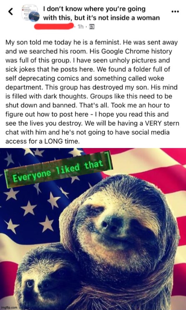 image tagged in i don t know where you re going with this but it s not inside a,patriotic parental sloth everyone liked that | made w/ Imgflip meme maker