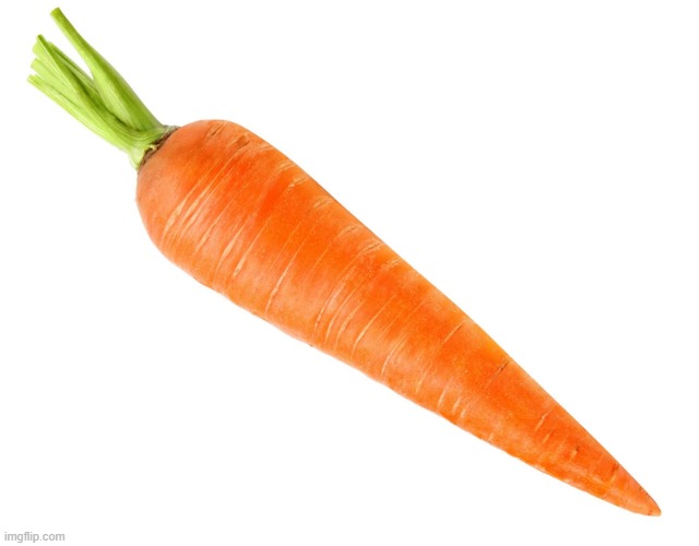 carrot | image tagged in carrot | made w/ Imgflip meme maker