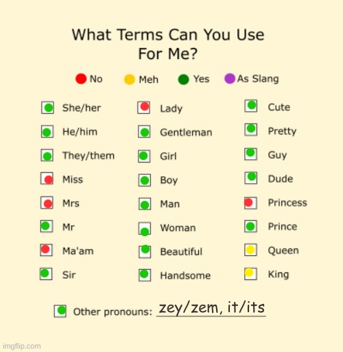 idk I'm bored and no one will talk to me :D | zey/zem, it/its | image tagged in pronouns sheet,idk | made w/ Imgflip meme maker