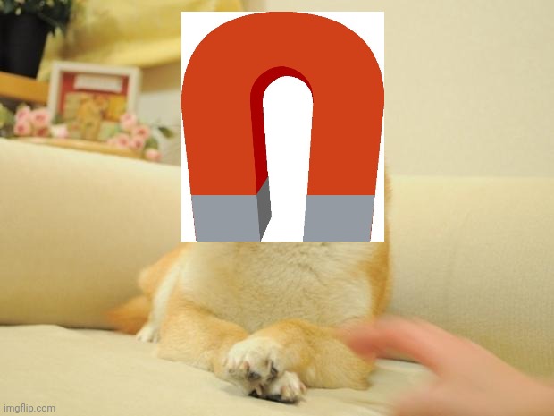 Doge 2 Meme | image tagged in memes,doge 2 | made w/ Imgflip meme maker