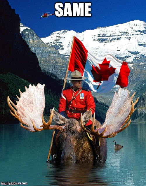 canada awesome | SAME | image tagged in canada awesome | made w/ Imgflip meme maker