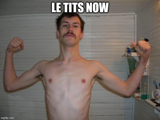 When the holiday decorations say Le Tits Now | LE TITS NOW | image tagged in moustache bandit | made w/ Imgflip meme maker