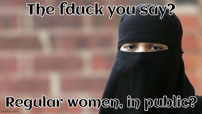 Not Funny Burka | The fduck you say? Regular women, in public? | image tagged in not funny burka | made w/ Imgflip meme maker