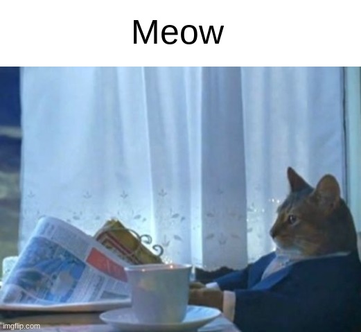 Meow | Meow | image tagged in memes,i should buy a boat cat,meow,cat,anti-meme | made w/ Imgflip meme maker