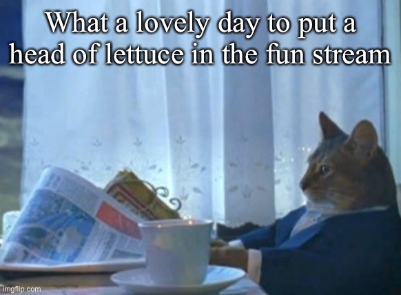 Lettuce | What a lovely day to put a head of lettuce in the fun stream | image tagged in memes,i should buy a boat cat,fun,lettuce,fun stream,lovely day | made w/ Imgflip meme maker