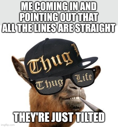 thug life camel | ME COMING IN AND POINTING OUT THAT ALL THE LINES ARE STRAIGHT THEY'RE JUST TILTED | image tagged in thug life camel | made w/ Imgflip meme maker