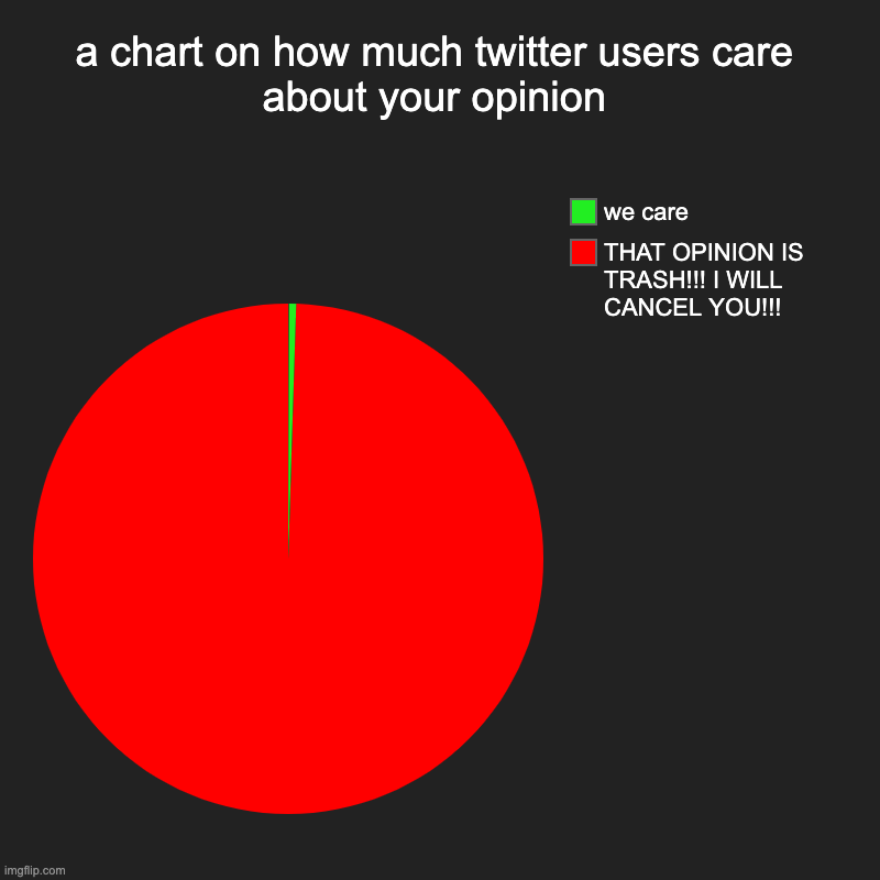 twitter users when they see an opinion: | a chart on how much twitter users care about your opinion | THAT OPINION IS TRASH!!! I WILL CANCEL YOU!!!, we care | image tagged in charts,pie charts | made w/ Imgflip chart maker