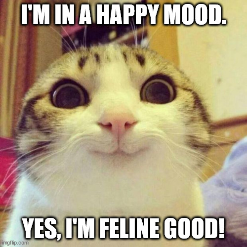 I'm feline good | I'M IN A HAPPY MOOD. YES, I'M FELINE GOOD! | image tagged in memes,smiling cat,feline,good,mood | made w/ Imgflip meme maker