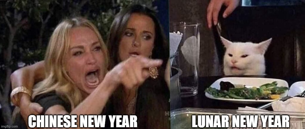 CNY vs LNY | CHINESE NEW YEAR; LUNAR NEW YEAR | image tagged in woman yelling at cat | made w/ Imgflip meme maker