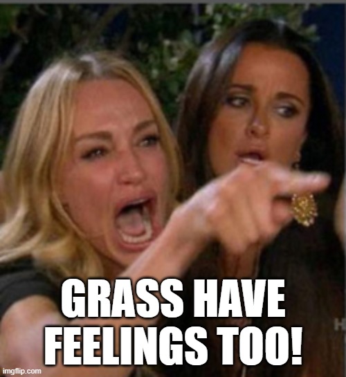 yelling lady | GRASS HAVE FEELINGS TOO! | image tagged in yelling lady | made w/ Imgflip meme maker