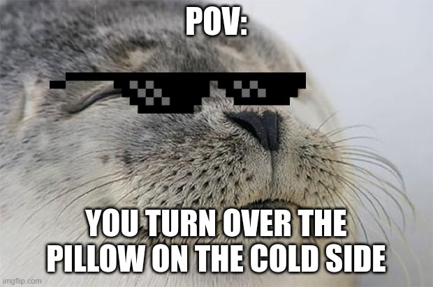 sus | POV:; YOU TURN OVER THE PILLOW ON THE COLD SIDE | image tagged in memes,satisfied seal,fun | made w/ Imgflip meme maker