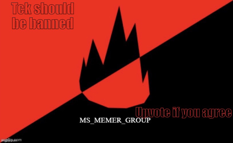 MS memer group flag | Tck should be banned; Upvote if you agree | image tagged in ms memer group flag | made w/ Imgflip meme maker