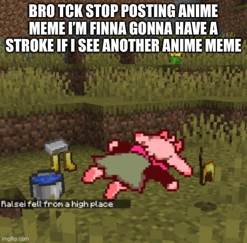 BRO TCK STOP POSTING ANIME MEME I’M FINNA GONNA HAVE A STROKE IF I SEE ANOTHER ANIME MEME | made w/ Imgflip meme maker