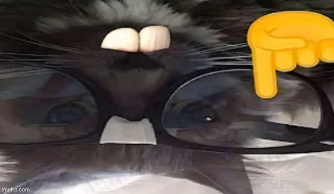 Nerd kitty but upside down | made w/ Imgflip meme maker